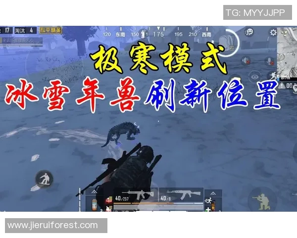 s15电竞李娜深度解析和平精英游戏技巧与策略分享 s15电竞李娜深度解析和平精英游戏技巧与策略分享